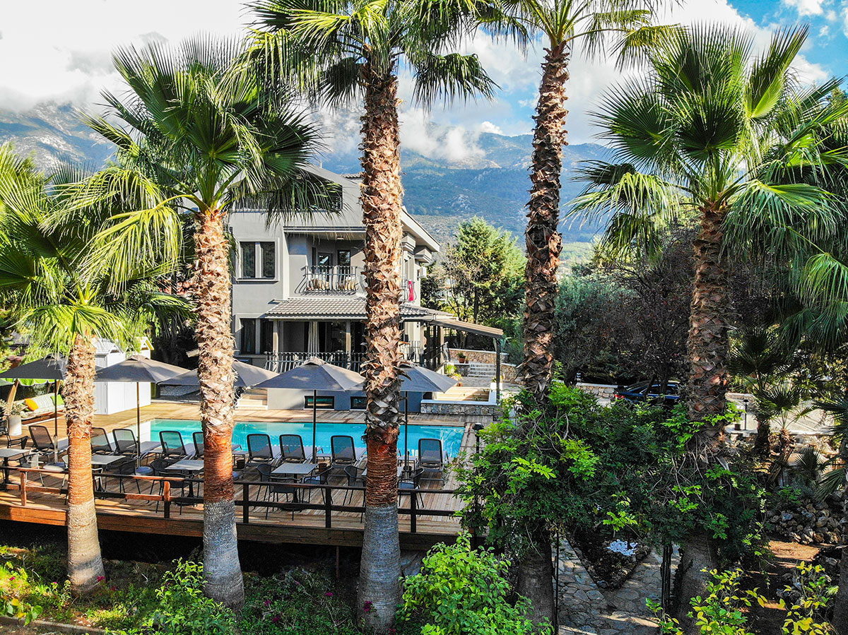 Zeytin House Apart 