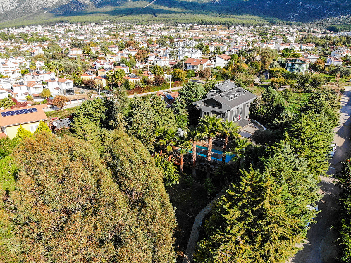 Zeytin House Apart 