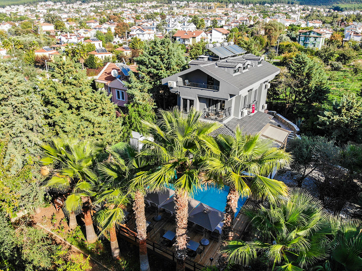 Zeytin House Apart 