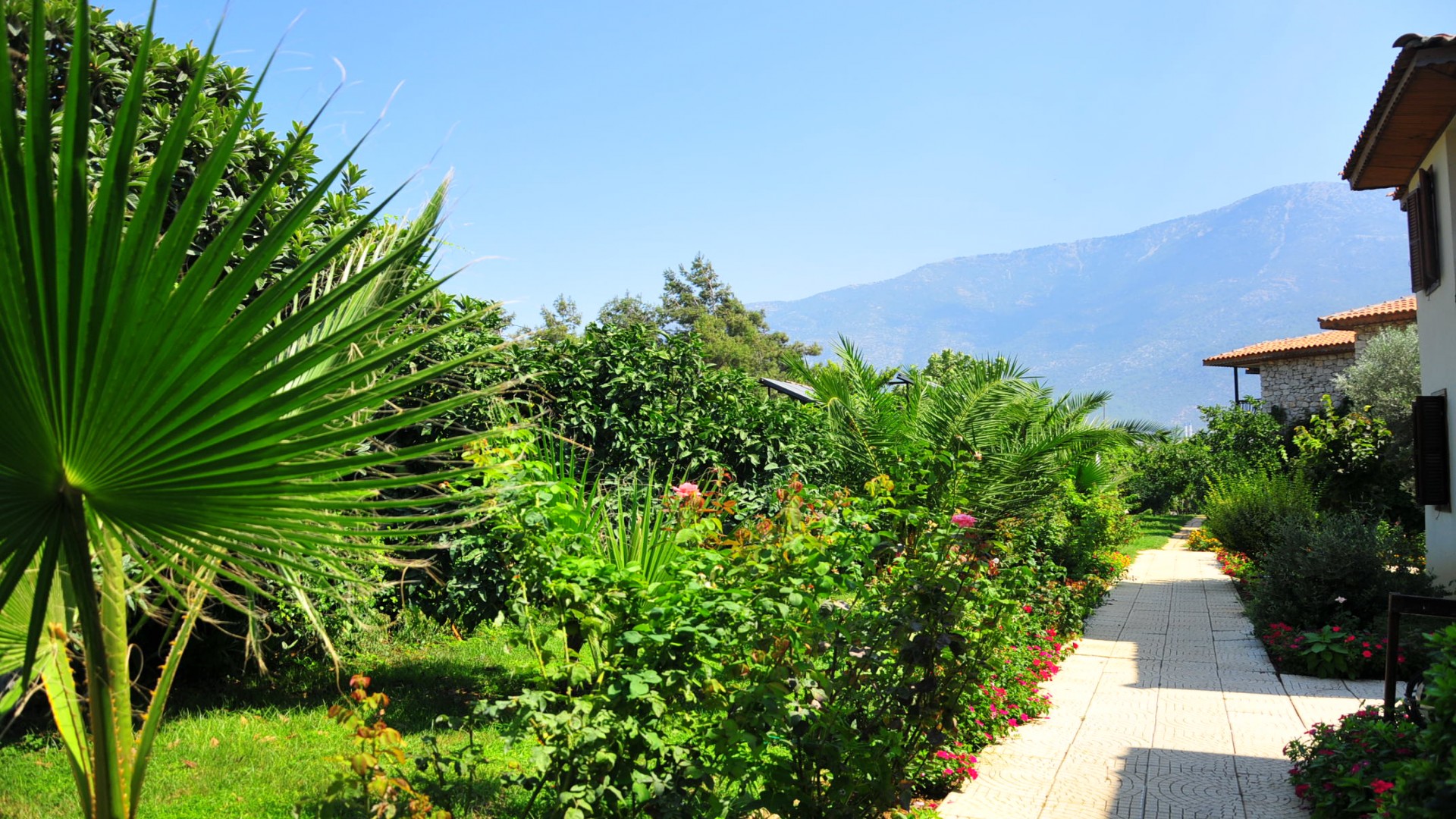 Telmessos Neva Hotel 