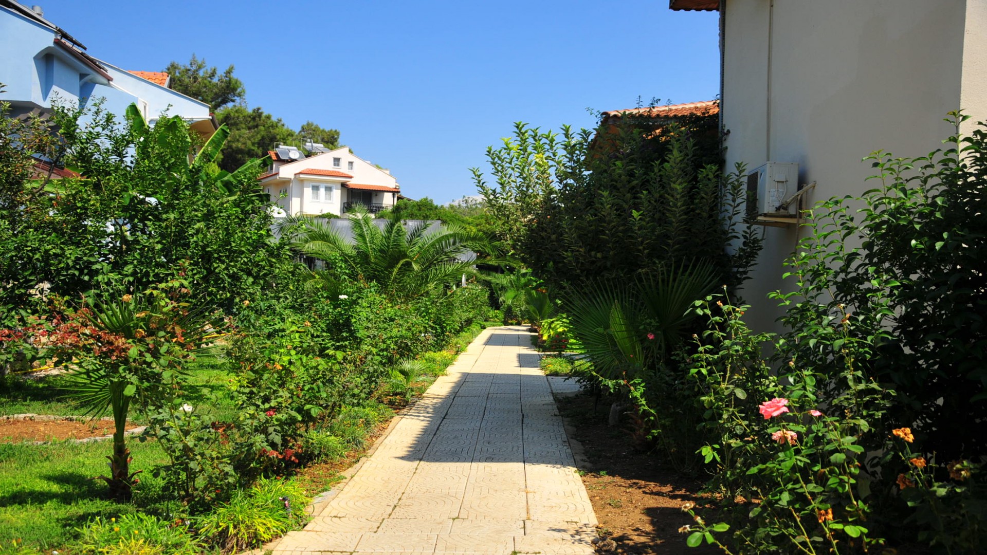 Telmessos Neva Hotel 