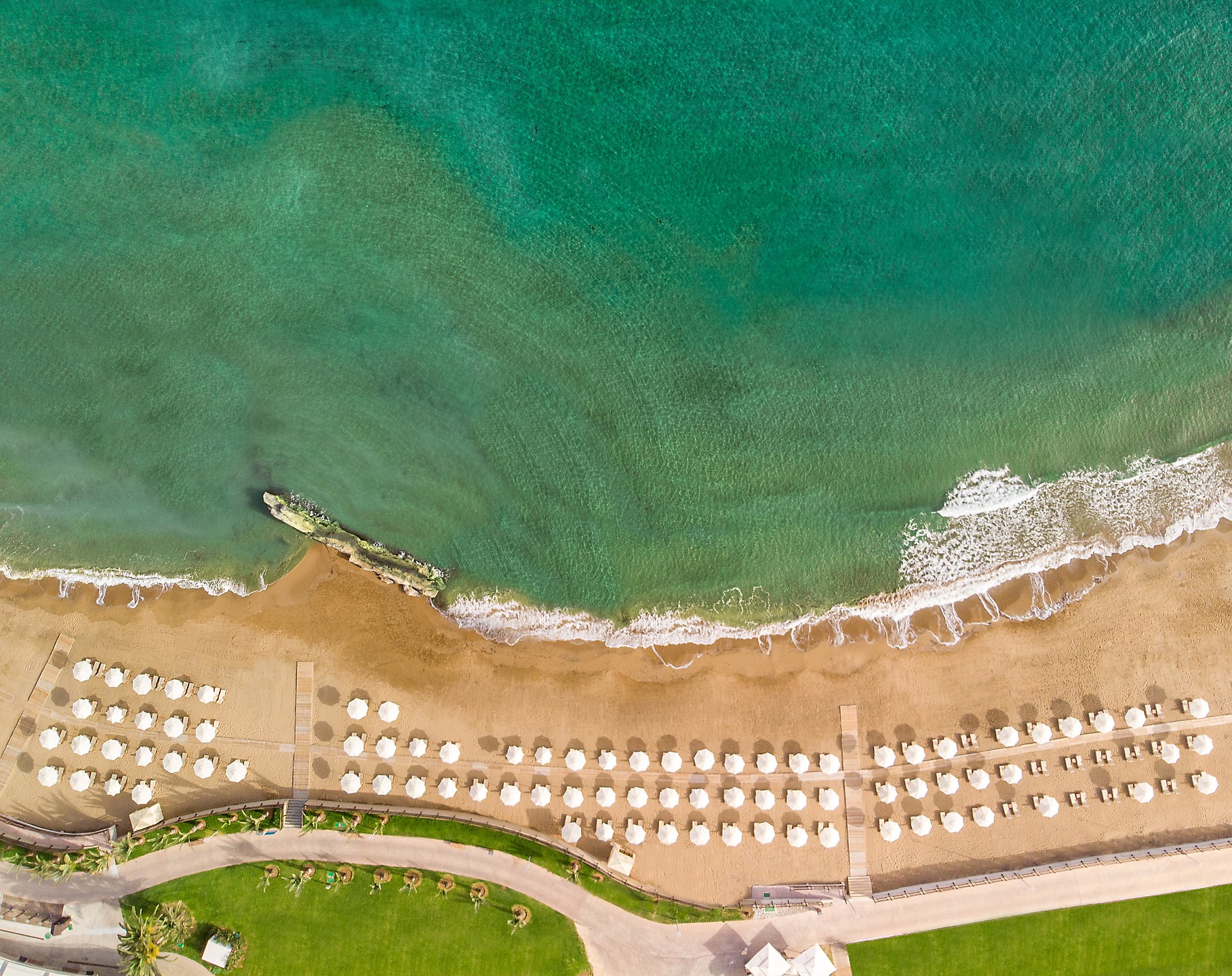 Elexus Hotel Resort & Casino & Spa