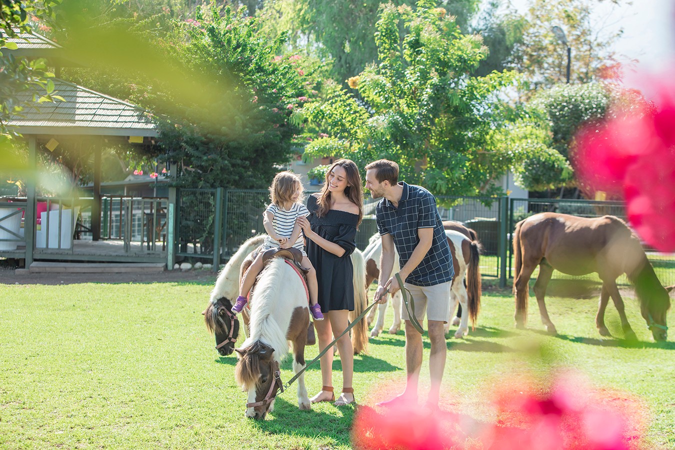 Merit Crystal Cove Hotel & Casino