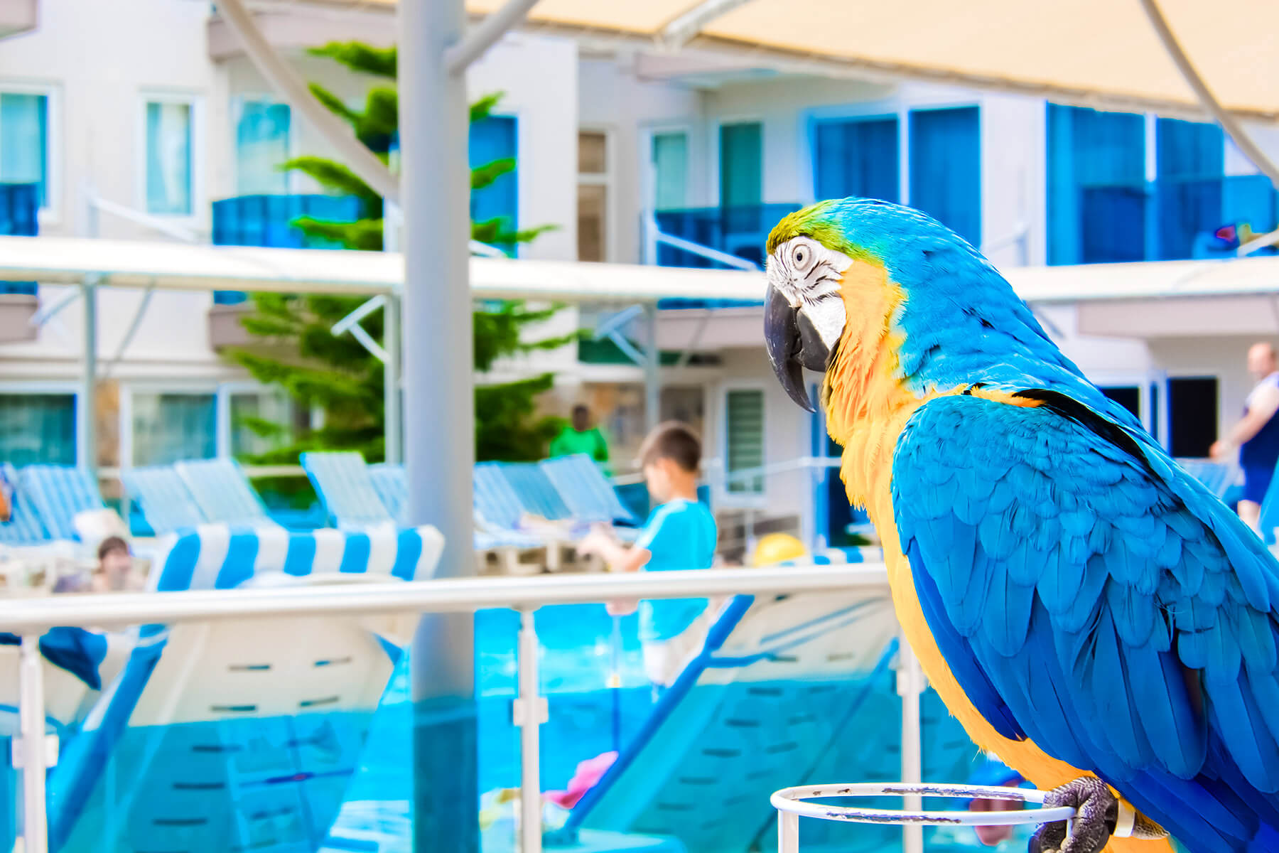 Tuğra Suit Hotel Alanya 