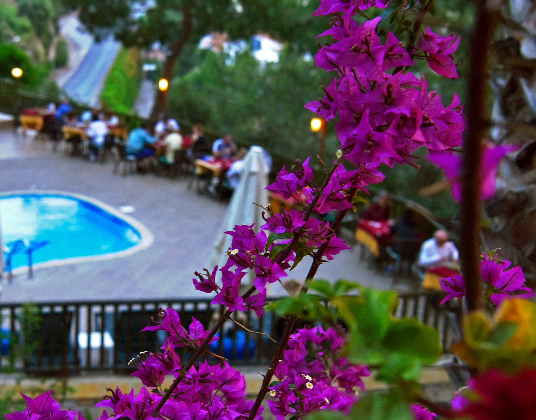 The Elysium Miramar Bodrum 