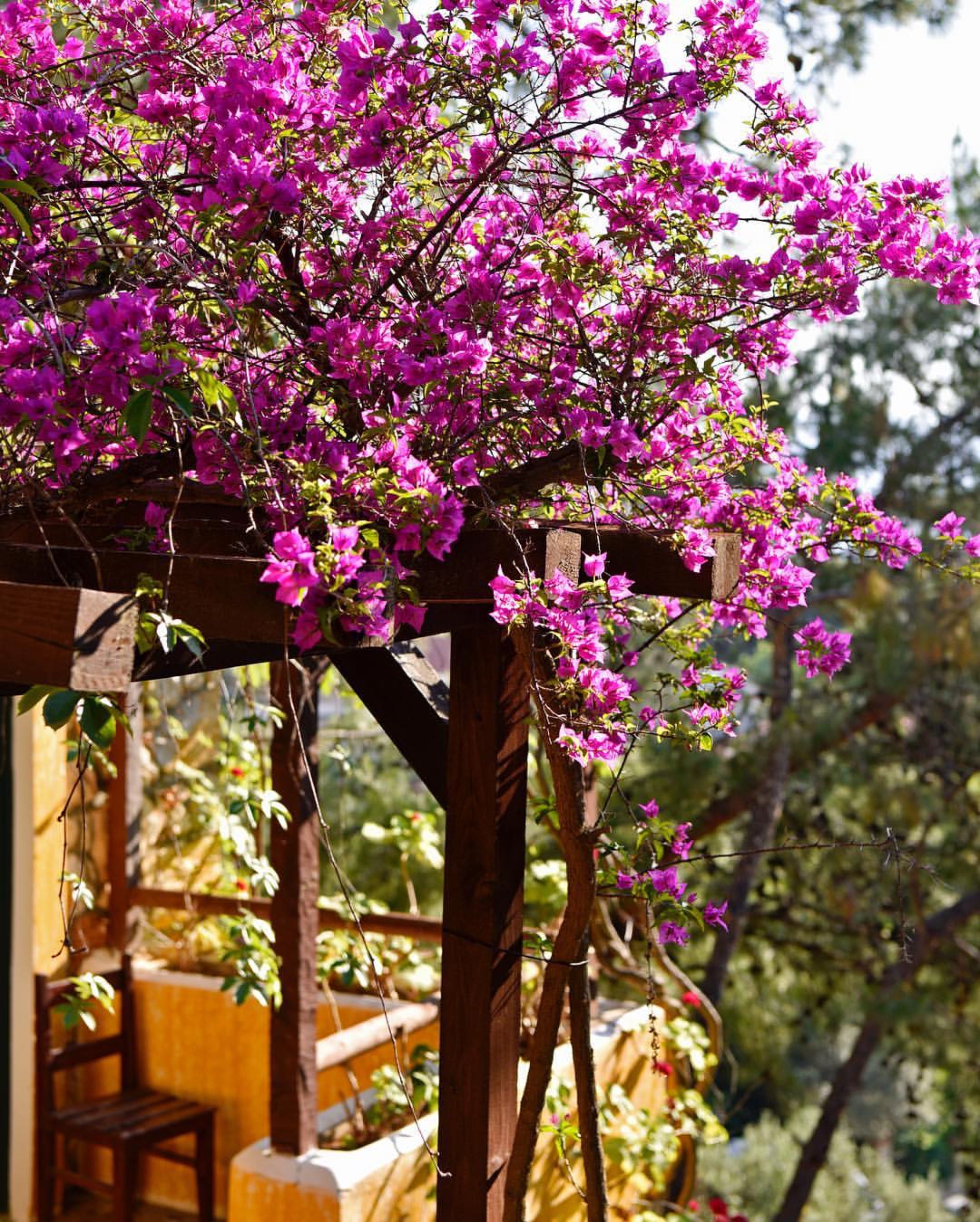 The Elysium Miramar Bodrum 