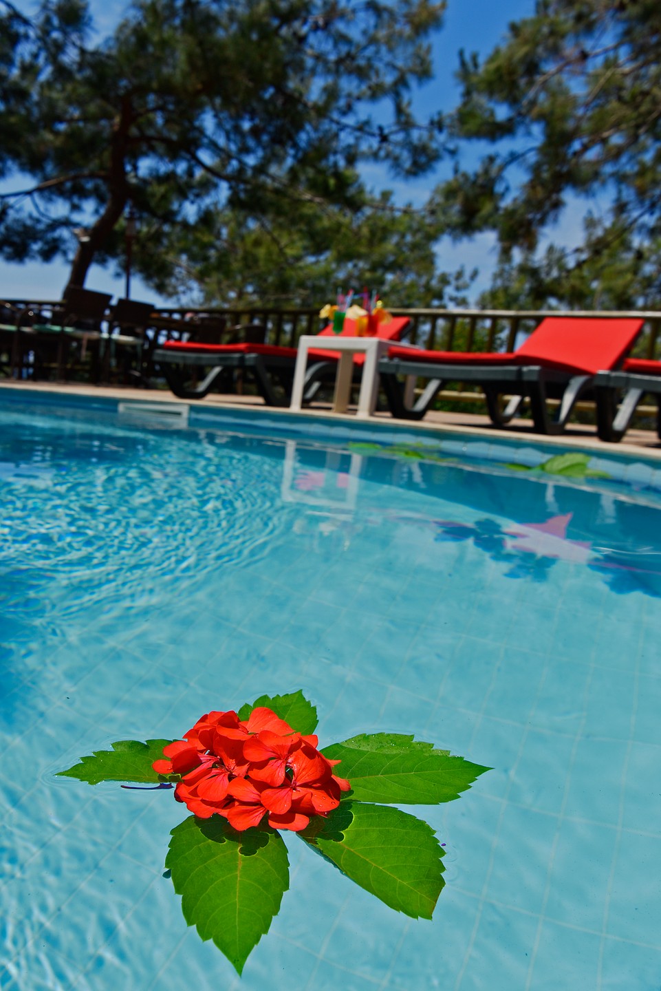 The Elysium Miramar Bodrum 